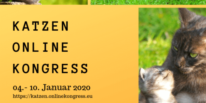 katzen-kongress 2020