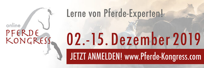pferde kongress 2019
