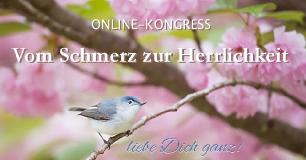 Vom Schmerz zur Herrlichkeit Online-Kongress