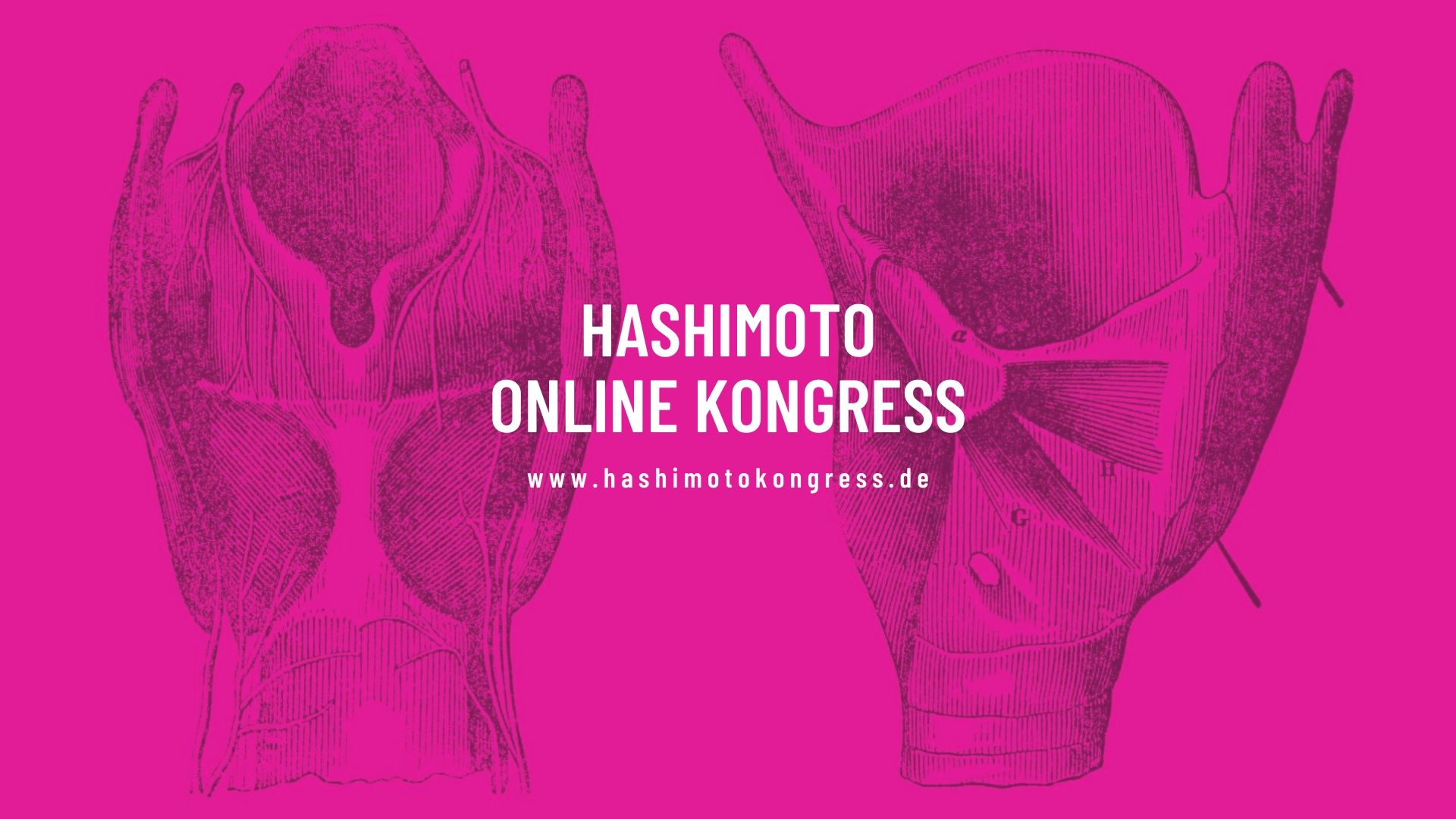Hashimoto Online-Kongress 2021