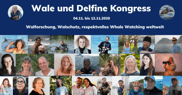 Wale und Delfine Kongress