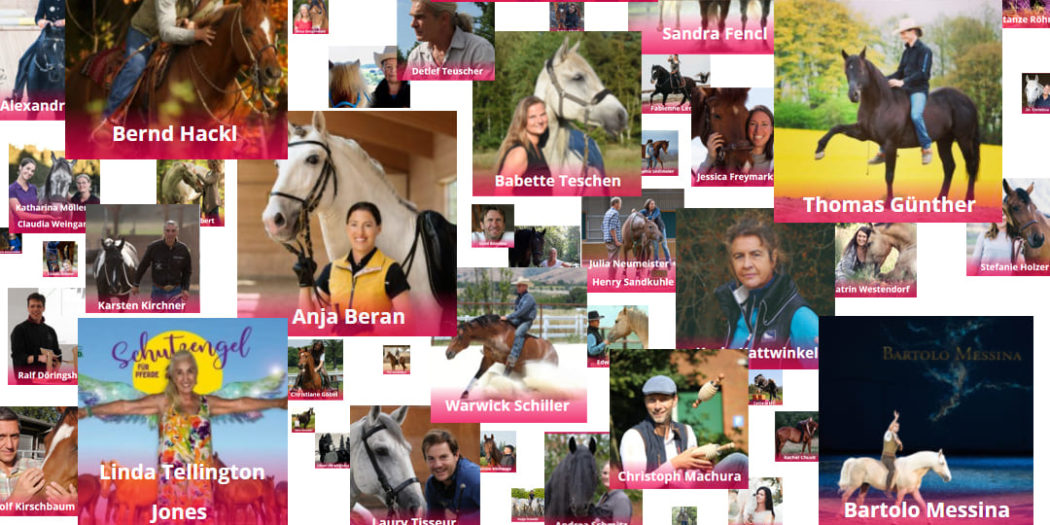 Calm Horse Summit 2021 Infos & Anmeldung