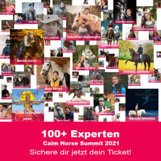 Calm Horse Summit 2021