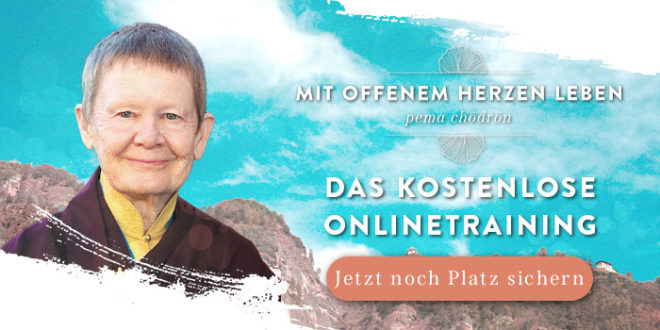 Pema Chödrön kostenfreie Onlinetraining