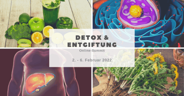 Detox & Entgiftung Online-Summit
