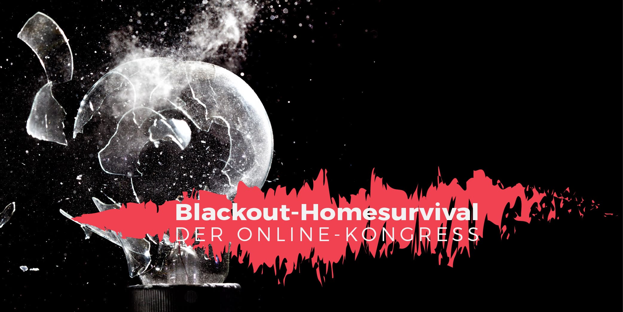 Blackout-Homesurvival Online-Kongress
