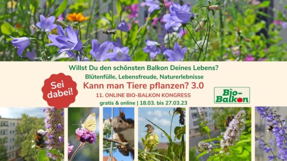 11. Bio-Balkon Online-Kongress