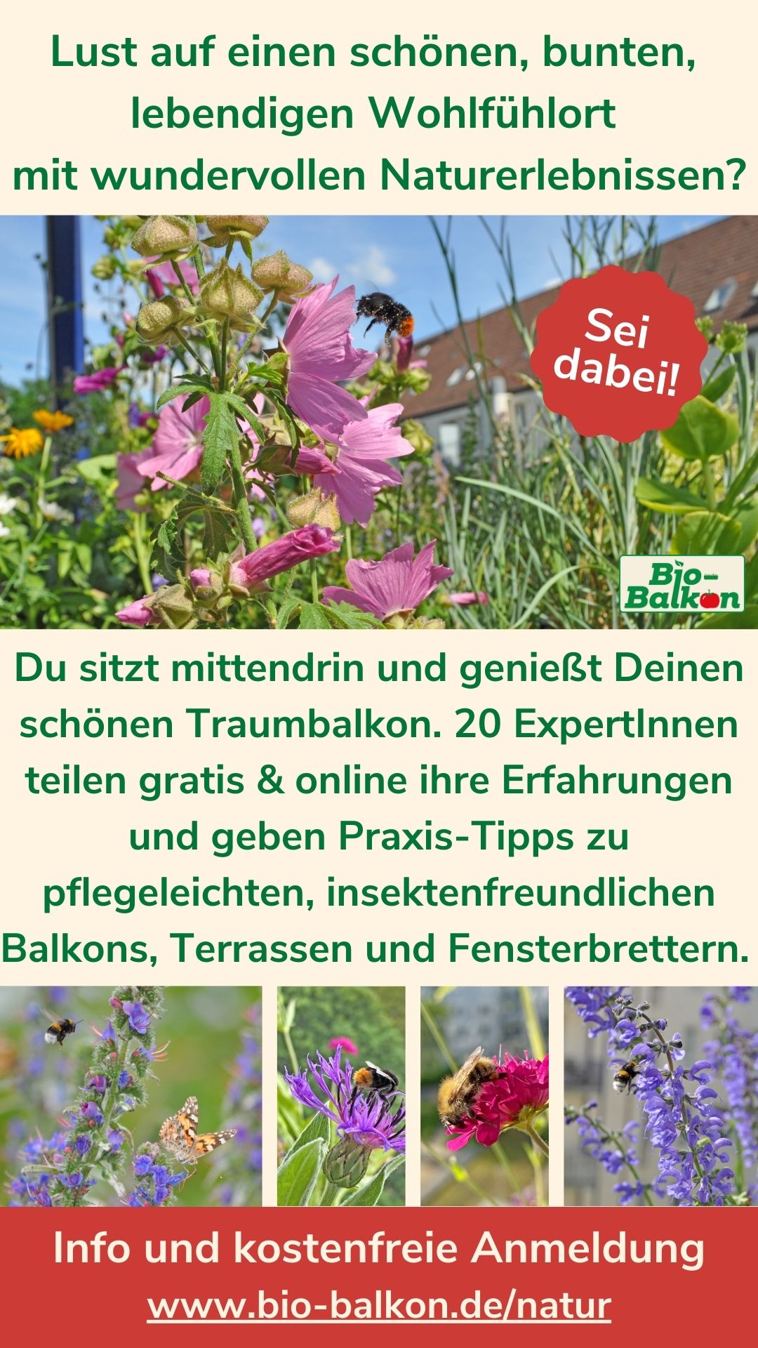 11. Bio-Balkon Kongress Kann man Tiere pflanzen 3.0 von Birgit Schattling