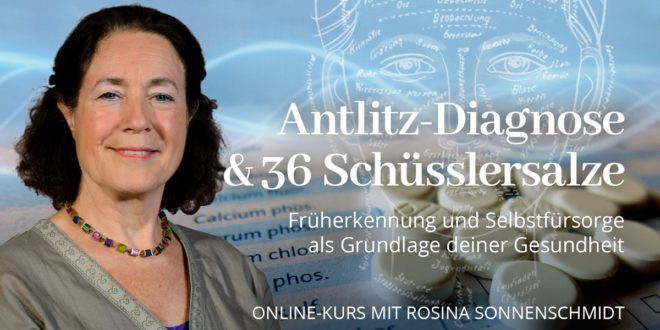 Antlitz-Diagnose 36 Schüsslersalze Online-Kurs Rosina Sonnenschmidt