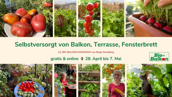 Selbstversorgt von Balkon, Terrasse, Fensterbrett Kongress Bio-Balkon