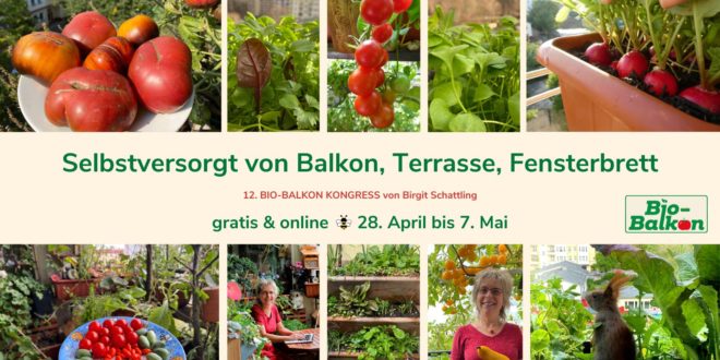Selbstversorgt von Balkon, Terrasse, Fensterbrett Kongress Bio-Balkon