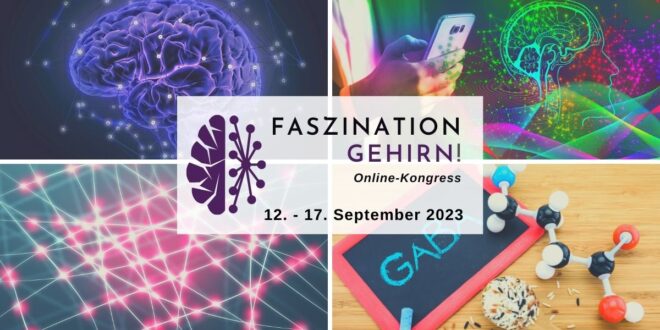 Faszination Gehirn Online-Kongress 2023