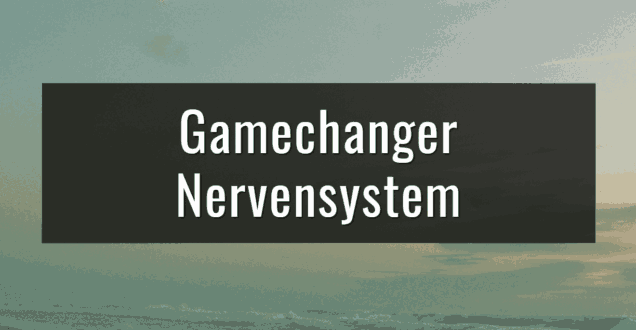 Gamechanger Nervensystem Kongress