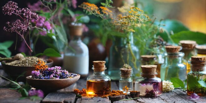 Adaptogene & Aufbaumittel der Homöopathie - Nathanael Schwartz