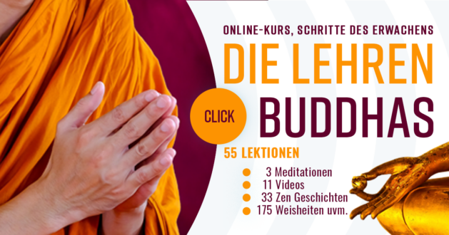 Die Lehre des Buddhas Schritte des Erwachens Kurs