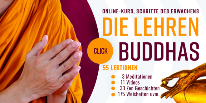 Die Lehre des Buddhas Schritte des Erwachens Kurs