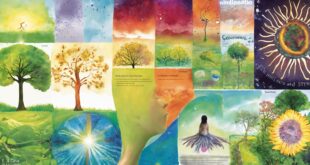 Lebensschule Gesamtpaket Dr. Rosina Sonnenschmidt