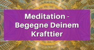 Meditation - Begegne Deinem Krafttier