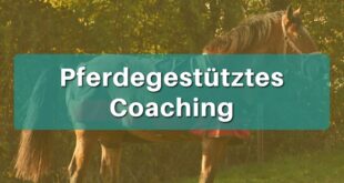 Pferdegestütztes Coaching von Tanja Gruber