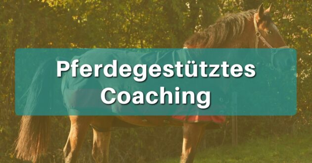 Pferdegestütztes Coaching von Tanja Gruber