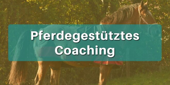 Pferdegestütztes Coaching von Tanja Gruber