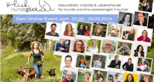 Klick- Hundeglück Festival Online-Kongress