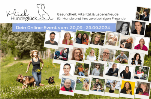 Klick- Hundeglück Festival Online-Kongress