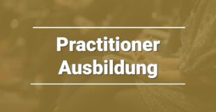 Practitioner Ausbildung Kosten