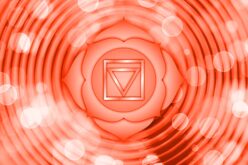 Wurzelchakra Muladhara