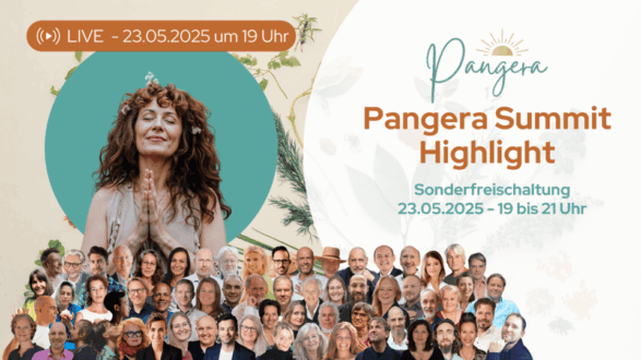 Pangera Summit Live Highlight