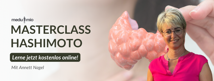 Hashimoto verstehen & behandeln Masterclass