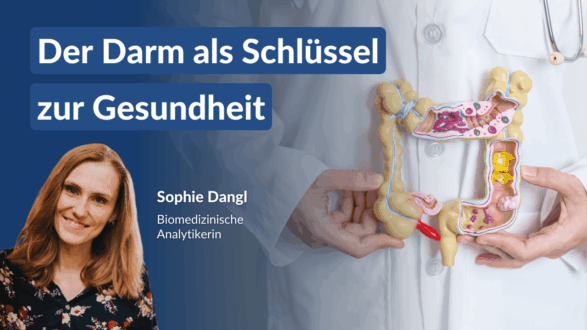 Dein Darm, dein Plan Online Masterclass