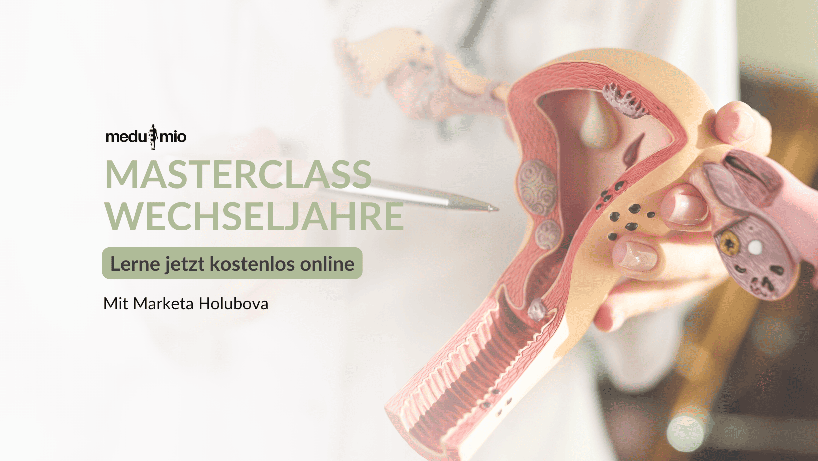 Wechseljahre verstehen Online-Masterclass