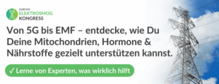 Elektrosmog Online-Kongress