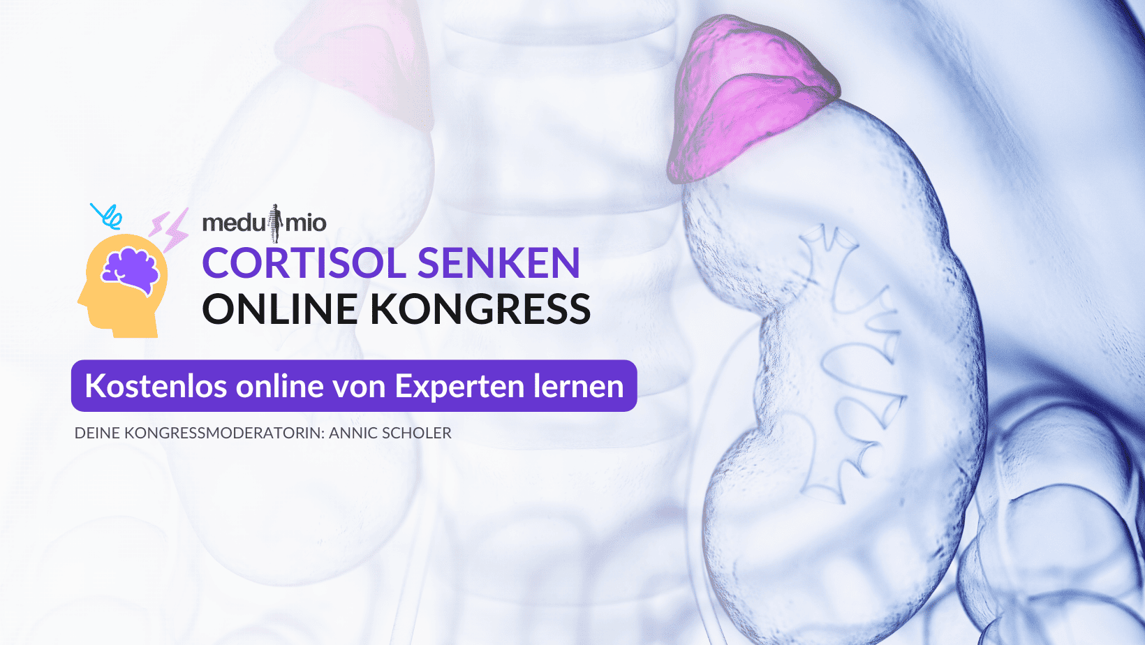 Cortisol senken Online-Kongress 2026
