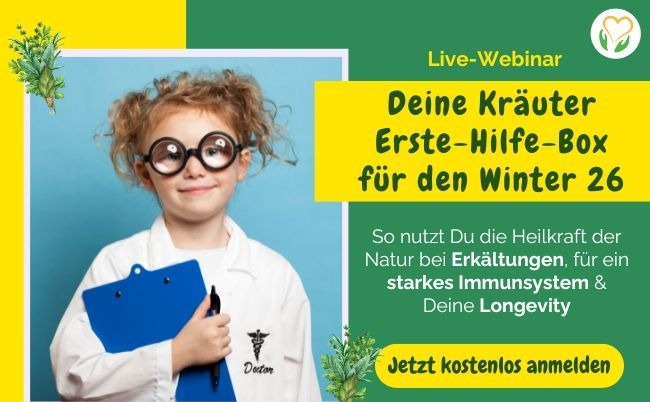 Deine Kräuter-Erste-Hilfe-Box für den Winter 2026