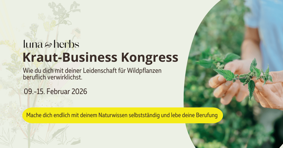 Kraut-Business Kongress 2026