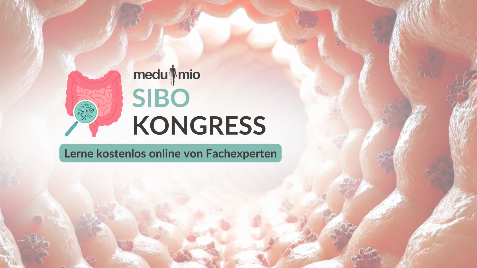 SIBO Online-Kongress 2026