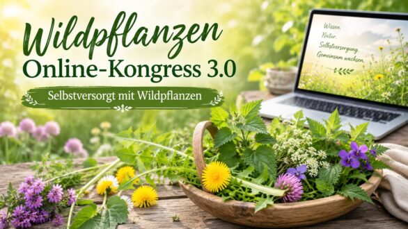 Wildpflanzen Online-Kongress 3.0 von Krautfidel