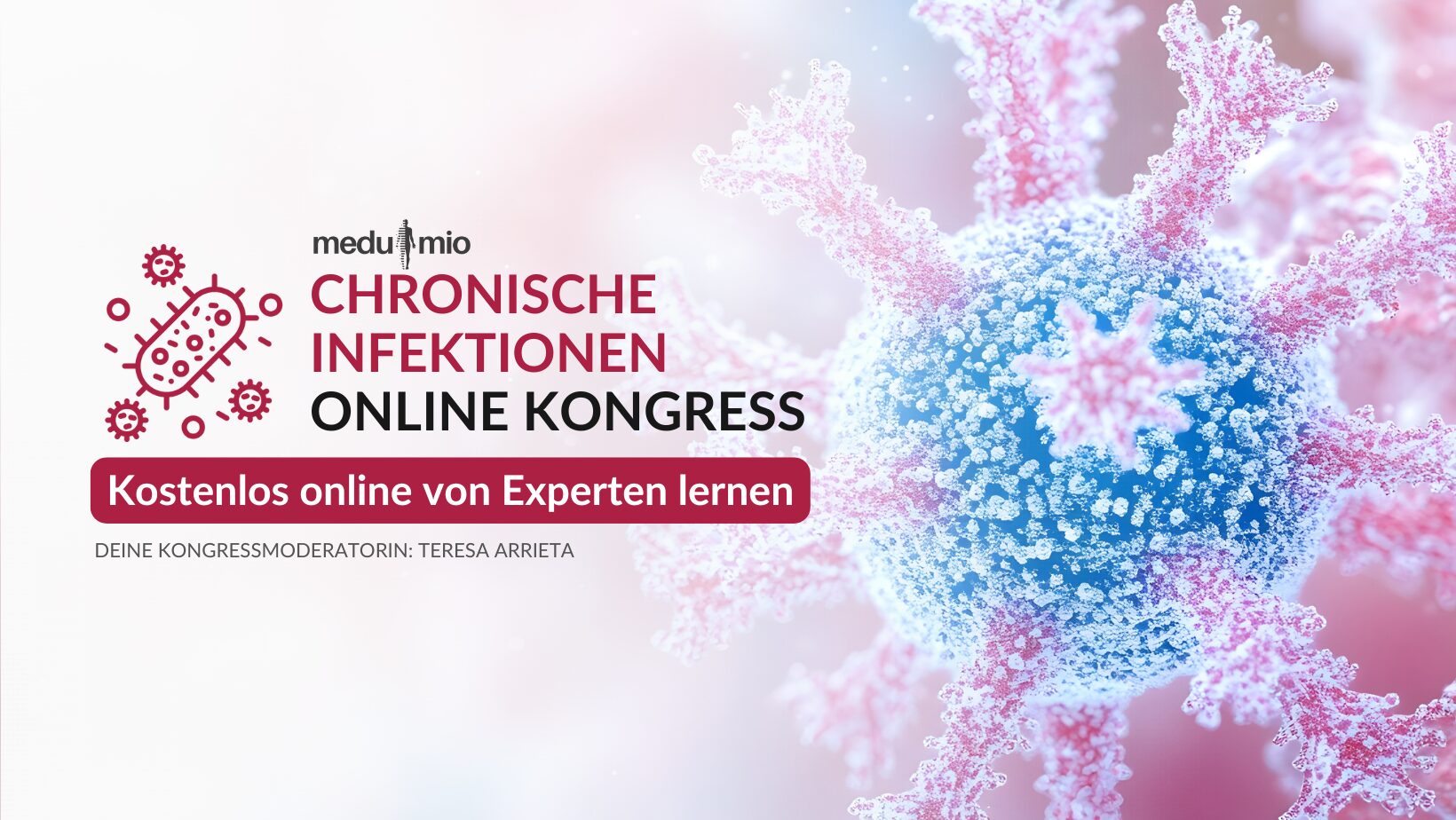 Chronische Infektionen Kongress 2026