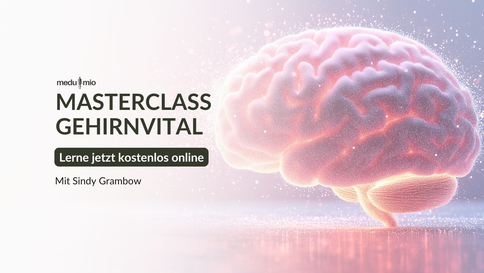 Gehirnvital Masterclass 2026 mit Sindy Grambow
