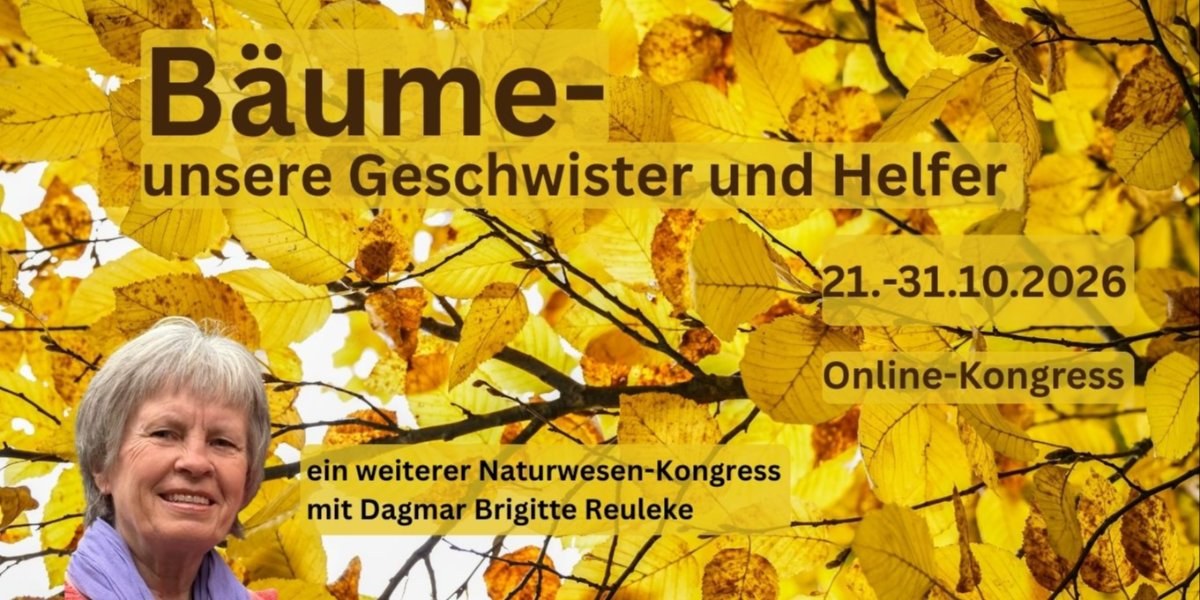 Bäume-Kongress 2026 – unsere Geschwister und Helfer